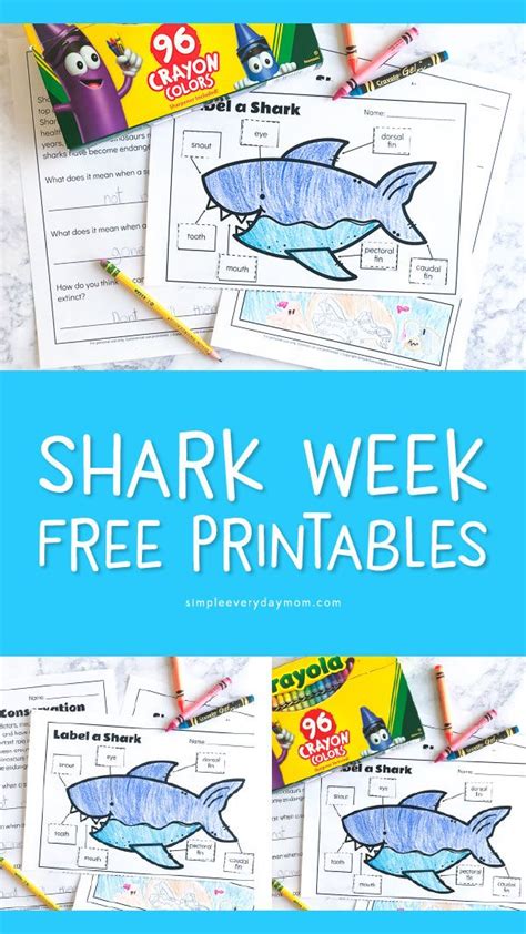 Shark Week Printables